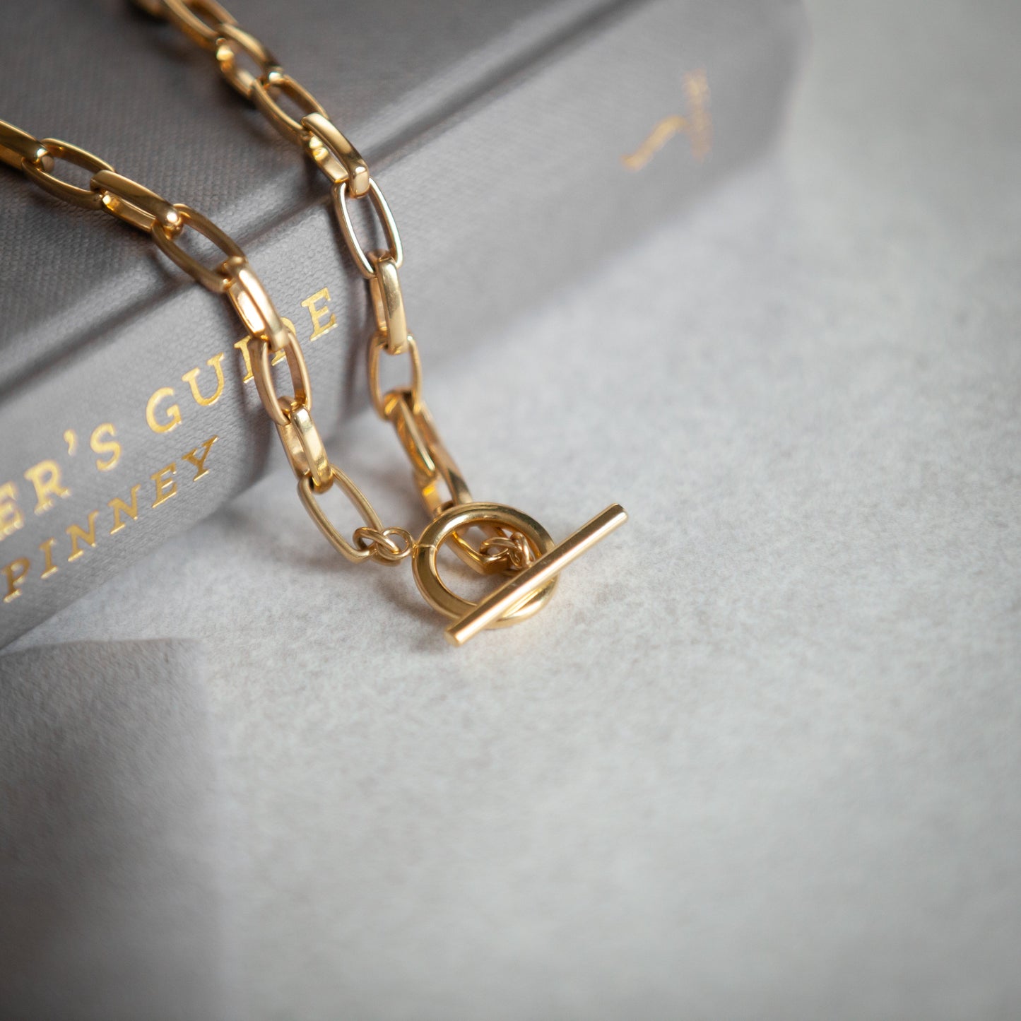 Lee gold rectangular link T-bar necklace worn